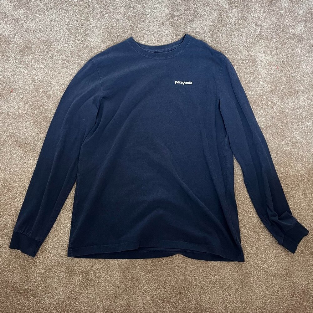 Patagonia long sleeve tee